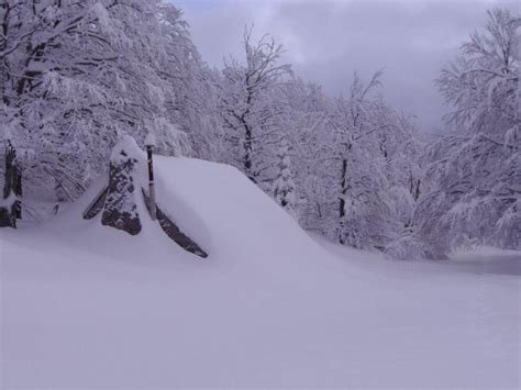 Cabin covered in snow
